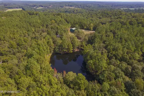 View/Area - 875 Mccravy Rd, Hickory Flat, MS 38633 photo 1 of 5