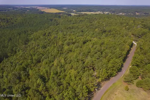 Other - 875 Mccravy Rd, Hickory Flat, MS 38633 photo 25 of 58
