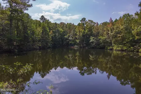 View/Area - 875 Mccravy Rd, Hickory Flat, MS 38633 photo 3 of 5