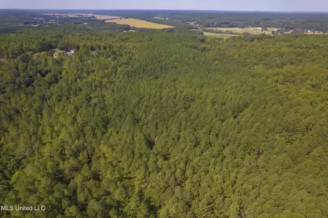 Other - 875 Mccravy Rd, Hickory Flat, MS 38633 photo 22 of 58