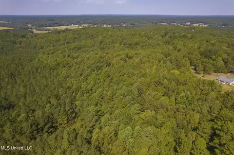 Other - 875 Mccravy Rd, Hickory Flat, MS 38633 photo 19 of 58
