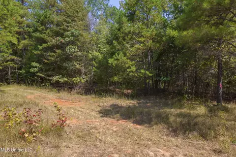 Other - 875 Mccravy Rd, Hickory Flat, MS 38633 photo 48 of 58