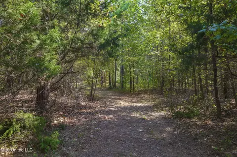 Exterior - 875 Mccravy Rd, Hickory Flat, MS 38633 photo 14 of 21