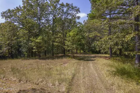 Other - 875 Mccravy Rd, Hickory Flat, MS 38633 photo 54 of 58