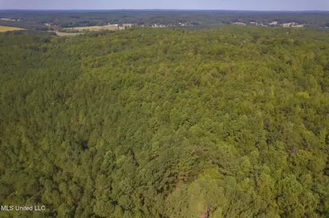 Other - 875 Mccravy Rd, Hickory Flat, MS 38633 photo 20 of 58