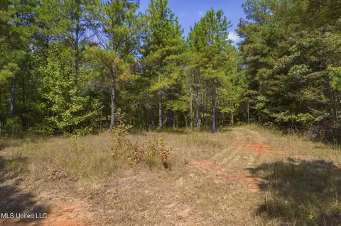 Exterior - 875 Mccravy Rd, Hickory Flat, MS 38633 photo 13 of 21