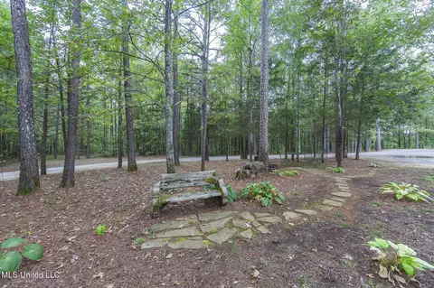 Exterior - 875 Mccravy Rd, Hickory Flat, MS 38633 photo 17 of 21