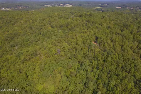 Other - 875 Mccravy Rd, Hickory Flat, MS 38633 photo 23 of 58