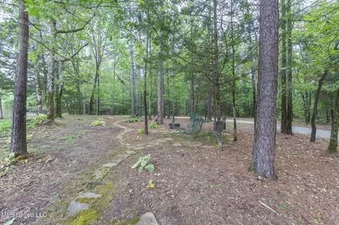 Exterior - 875 Mccravy Rd, Hickory Flat, MS 38633 photo 15 of 21