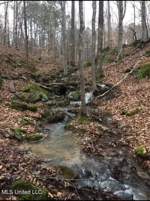 Other - 875 Mccravy Rd, Hickory Flat, MS 38633 photo 18 of 58