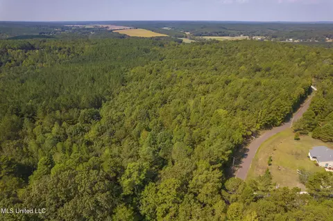 Other - 875 Mccravy Rd, Hickory Flat, MS 38633 photo 16 of 58
