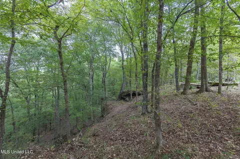 Exterior - 875 Mccravy Rd, Hickory Flat, MS 38633 photo 18 of 21