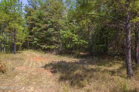 Other - 875 Mccravy Rd, Hickory Flat, MS 38633 photo 49 of 58