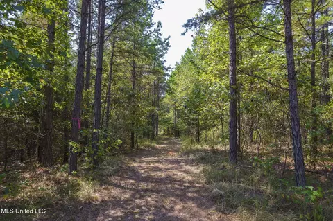 Other - 875 Mccravy Rd, Hickory Flat, MS 38633 photo 52 of 58