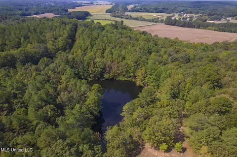 View/Area - 875 Mccravy Rd, Hickory Flat, MS 38633 photo 2 of 5