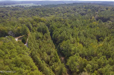 Other - 875 Mccravy Rd, Hickory Flat, MS 38633 photo 32 of 58