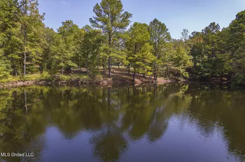 View/Area - 875 Mccravy Rd, Hickory Flat, MS 38633 photo 4 of 5