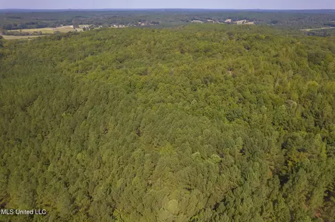 Other - 875 Mccravy Rd, Hickory Flat, MS 38633 photo 21 of 58