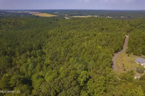 Other - 875 Mccravy Rd, Hickory Flat, MS 38633 photo 17 of 58
