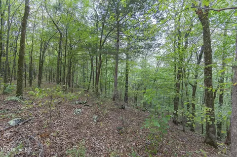 Exterior - 875 Mccravy Rd, Hickory Flat, MS 38633 photo 20 of 21