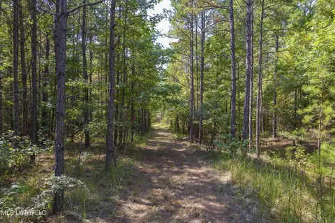 Other - 875 Mccravy Rd, Hickory Flat, MS 38633 photo 53 of 58