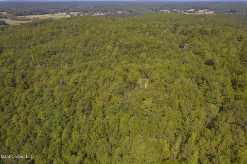 Other - 875 Mccravy Rd, Hickory Flat, MS 38633 photo 24 of 58