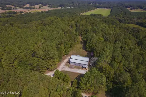 Other - 875 Mccravy Rd, Hickory Flat, MS 38633 photo 28 of 58