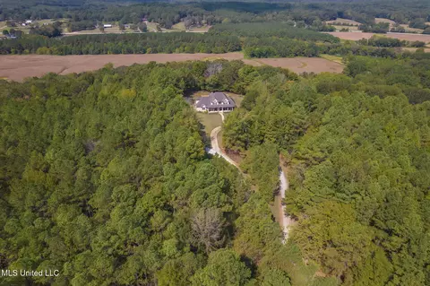 Other - 875 Mccravy Rd, Hickory Flat, MS 38633 photo 30 of 58