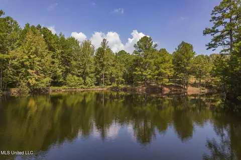 View/Area - 875 Mccravy Rd, Hickory Flat, MS 38633 photo 5 of 5