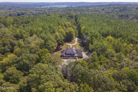 Other - 875 Mccravy Rd, Hickory Flat, MS 38633 photo 35 of 58