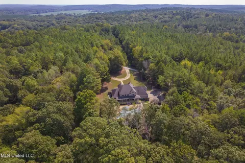 Other - 875 Mccravy Rd, Hickory Flat, MS 38633 photo 36 of 58