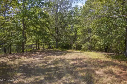 Exterior - 875 Mccravy Rd, Hickory Flat, MS 38633 photo 16 of 21