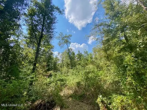 Quinlivan Rd, Magnolia, MS 39652 photo 6