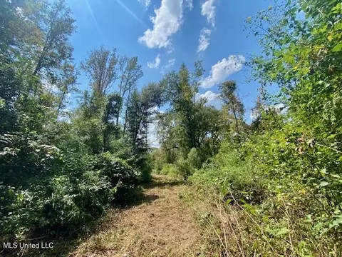 Quinlivan Rd, Magnolia, MS 39652 photo 3