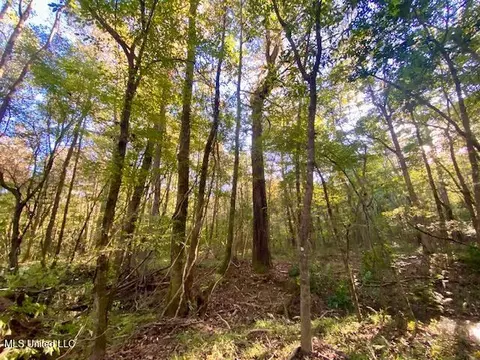 Quinlivan Rd, Magnolia, MS 39652 photo 10