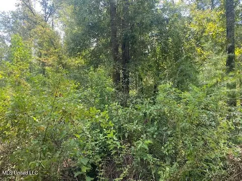 Quinlivan Rd, Magnolia, MS 39652 photo 9