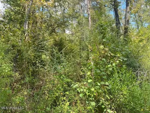 Quinlivan Rd, Magnolia, MS 39652 photo 8