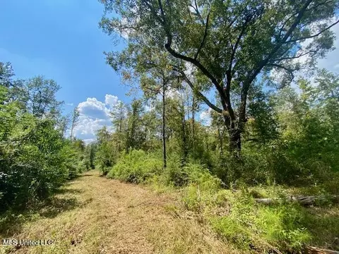 Quinlivan Rd, Magnolia, MS 39652 photo 5