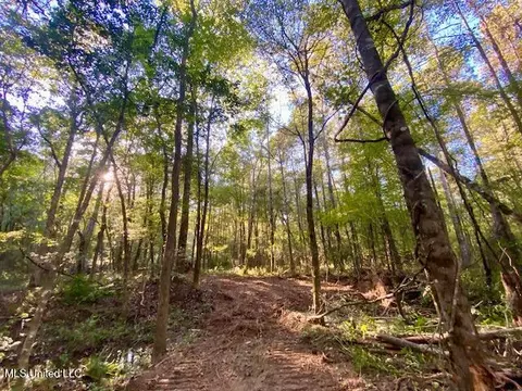 Quinlivan Rd, Magnolia, MS 39652 photo 11
