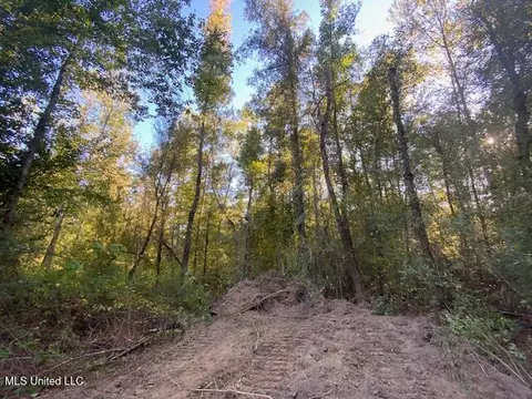 Quinlivan Rd, Magnolia, MS 39652 photo 14