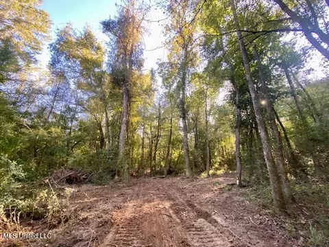 Quinlivan Rd, Magnolia, MS 39652 photo 13