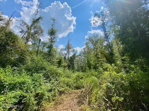 Quinlivan Rd, Magnolia, MS 39652 photo 7