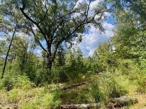 Quinlivan Rd, Magnolia, MS 39652 photo 4