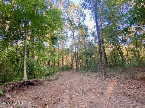 Quinlivan Rd, Magnolia, MS 39652 photo 2