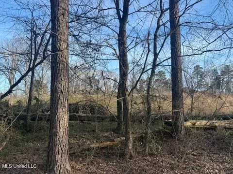 lot2 Slocum Rd, Hernando, MS 38632 photo 4