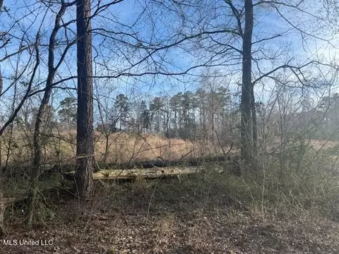 lot2 Slocum Rd, Hernando, MS 38632 photo 5