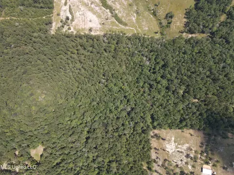Off Doe Ridge Highland, Lucedale, MS 39452 photo 7