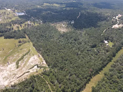 Off Doe Ridge Highland, Lucedale, MS 39452 photo 6