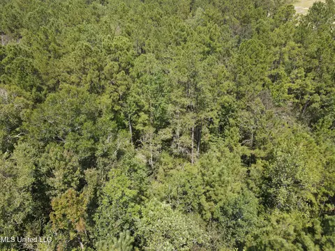 Off Doe Ridge Highland, Lucedale, MS 39452 photo 10