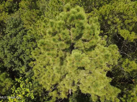 Off Doe Ridge Highland, Lucedale, MS 39452 photo 12